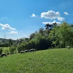 Pilikan - Park, Agroturism, Vineyard & Farm Lägenhet