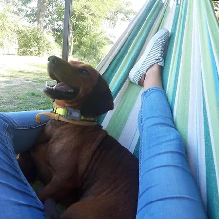 Pilikán - Park, Agroturism, Vineyard&farm Daire *