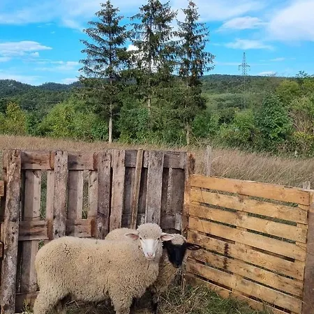Daire Pilikán - Park, Agroturism, Vineyard&farm