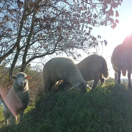 Pilikan - Park, Agroturism, Vineyard & Farm Lejlighed