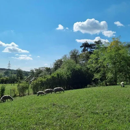 Pilikan - Park, Agroturism, Vineyard & Farm Lejlighed