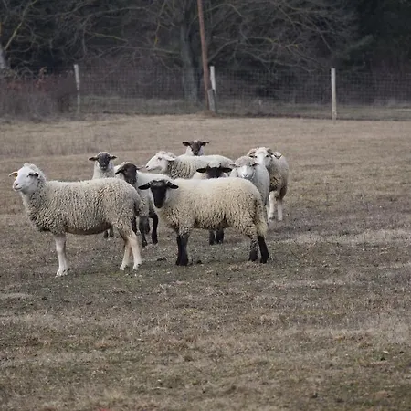 Pilikán - Park, Agroturism, Vineyard&farm Daire *